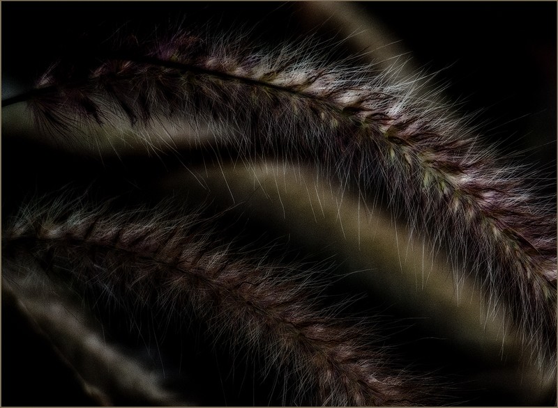 Soft in the Dark 